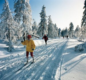 Harz - Langlauf