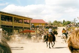 Hasselfelde – Pullman City